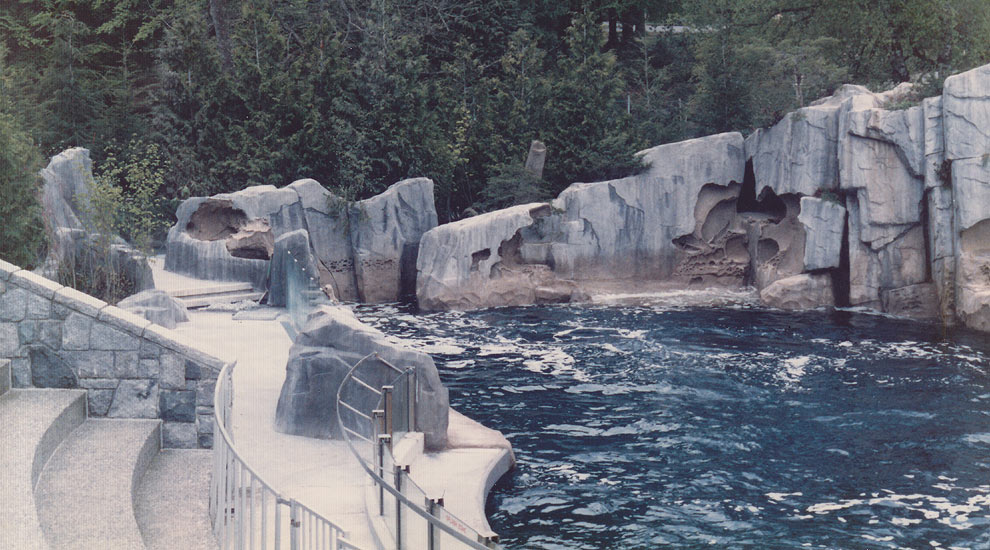 Vancouver Aquarium Orca Habitat