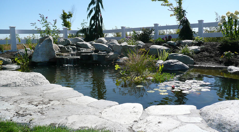 pondscape using natural rock