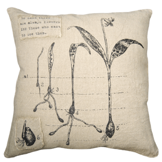 ***Pillow Collection - He Said There Are Always